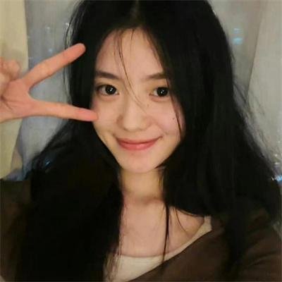 燕子盗
